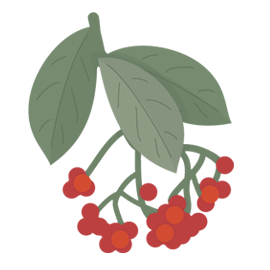 Free SVG File – 10.12.13 – Autumn Berries